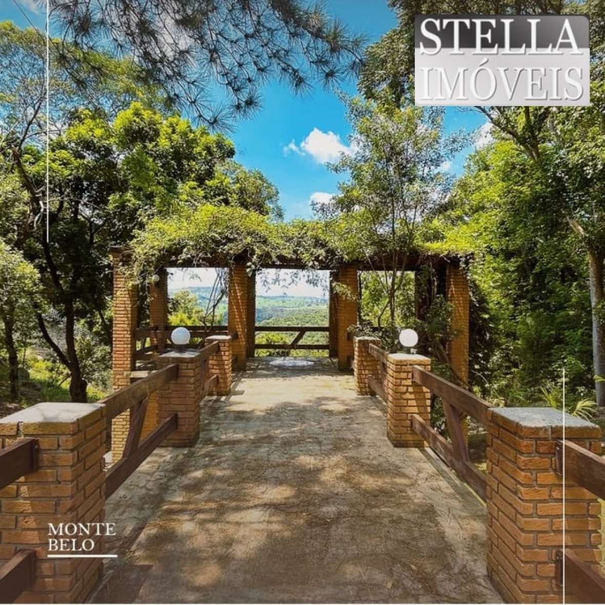 WhatsApp Image 2024-08-23 at 12.24.25 (1).jpeg