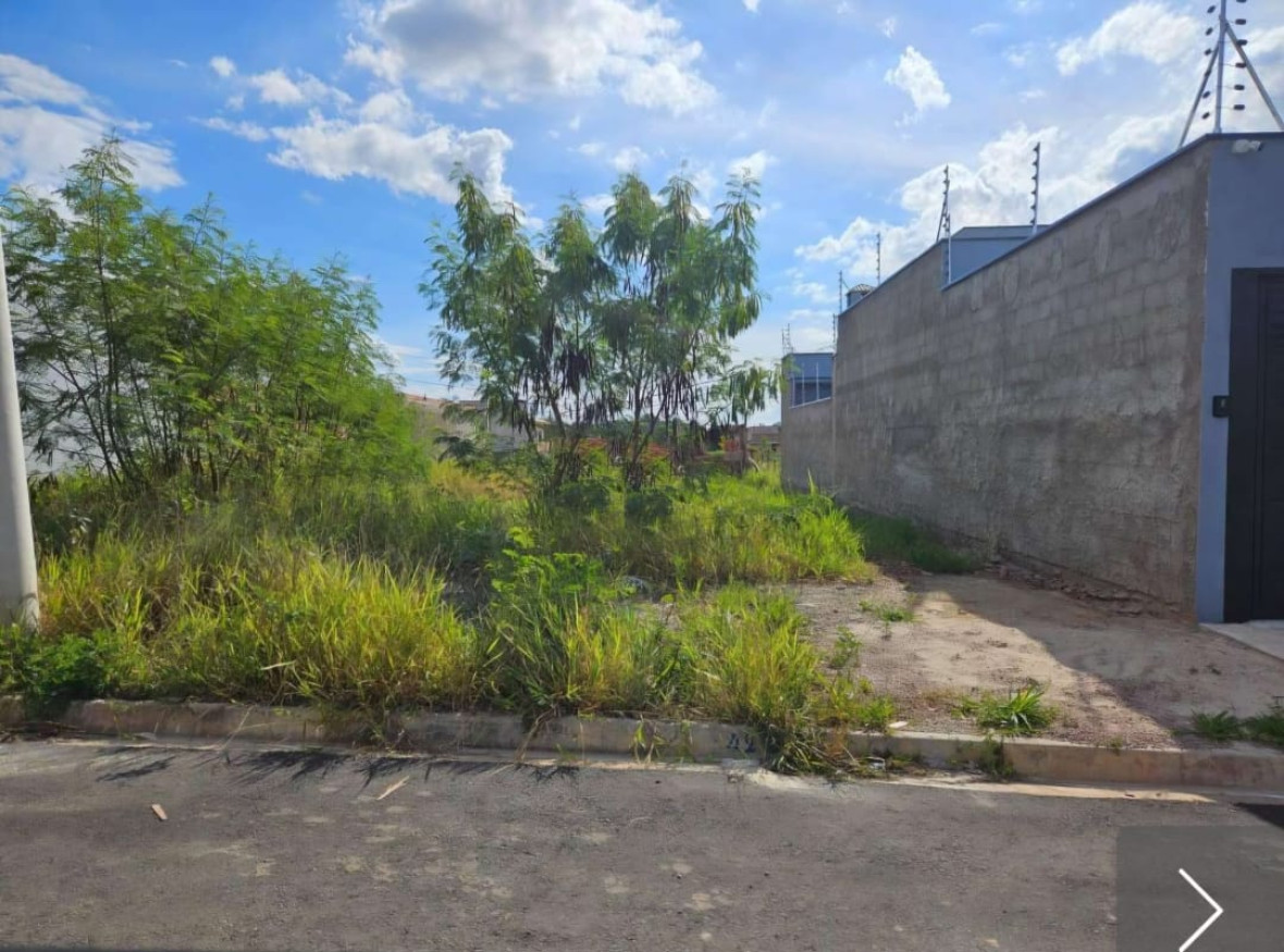 WhatsApp Image 2026-01-22 at 10.11.55.jpeg