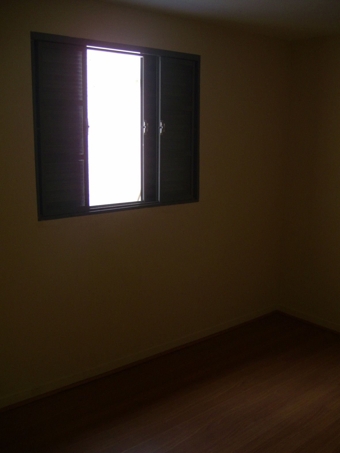 PIC_3737.JPG