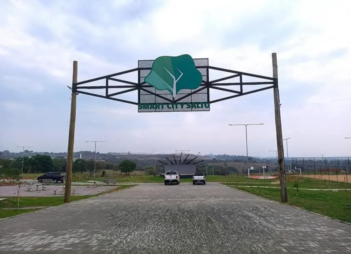 100.jpg